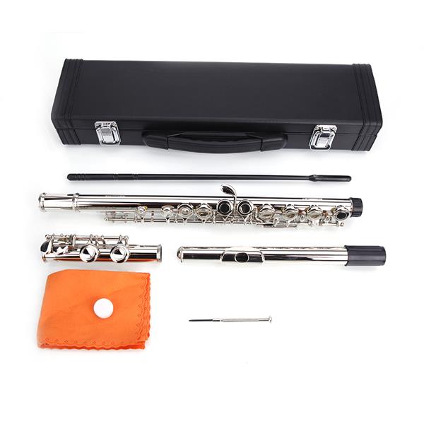 Nickel Plated C Closed Hole Concert Band Flute Silver