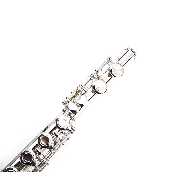 Nickel Plated C Closed Hole Concert Band Flute Silver