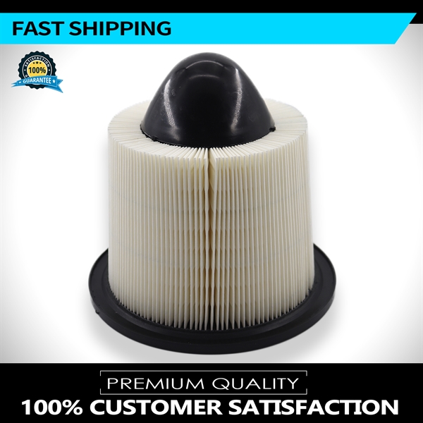 97-10 Ford Truck F150 1/2 Ton - Pickup Air filter /OEM# F50Z-9601-BA