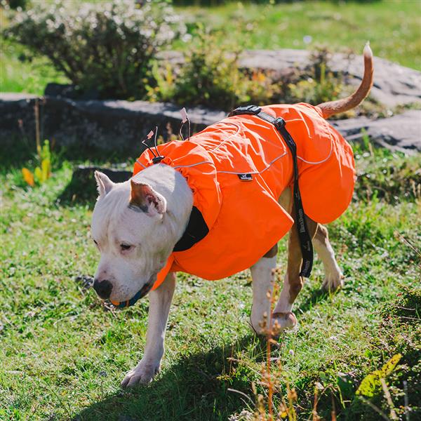 BLACKDOGGY Dog Coats Small Waterproof,Warm Outfit Clothes Dog Jackets Small,Adjustable Drawstring Warm And Cozy Dog Sport Vest-orangesize M