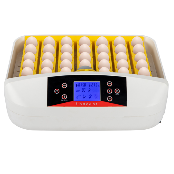 42-Egg Practical Fully Automatic Poultry Incubator with Egg Candler US Standard Yellow &amp; &amp; White &amp; Transparent