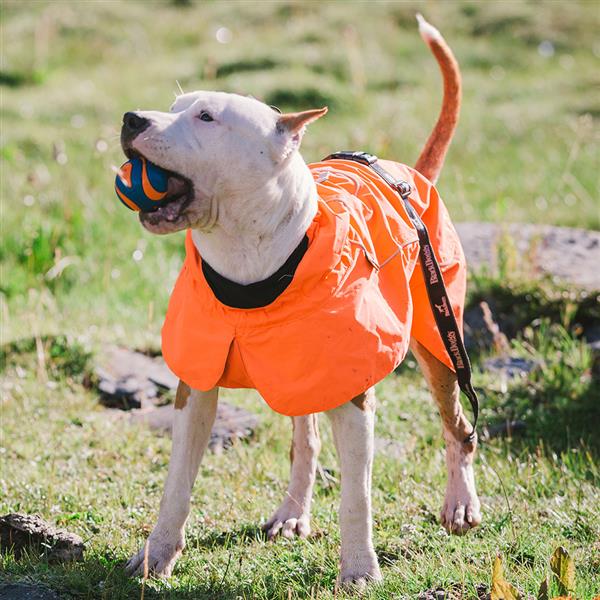 Dog Coats Small Waterproof,Warm Outfit Clothes Dog Jackets Small,Adjustable Drawstring Warm And Cozy Dog Sport Vest-orangesize L