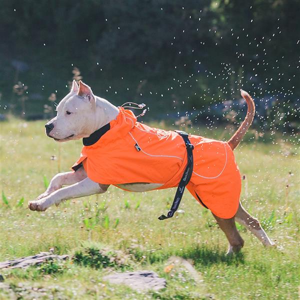 Dog Coats Small, Waterproof ,Warm Outfit Clothes Dog Jackets Small,Adjustable Drawstring Warm And Cozy Dog Sport Vest-orangesize XL
