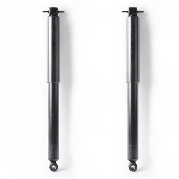2 PCS SHOCK ABSORBER CHEVROLET BLAZER 1995 - 2005