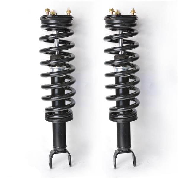 2 PCS Shock Strut Spring Assembly 2006-2008 DODGE-RAM 1500