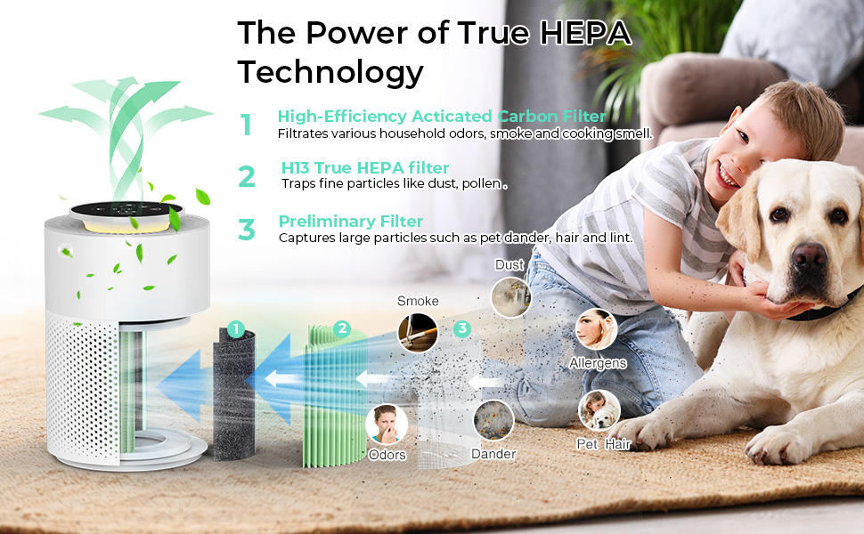 air purifiers for small room