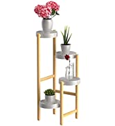 WTZ Bamboo Plant Stand Indoor Plant Shelf, 4 Tier Tall Plant Stand for Outdoor Multiple Plants, P...