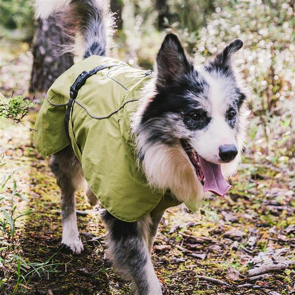 Dog Coats Small Waterproof,Warm Outfit Clothes Dog Jackets Small,Adjustable Drawstring Warm And Cozy Dog Sport Vest-Green size 2XL