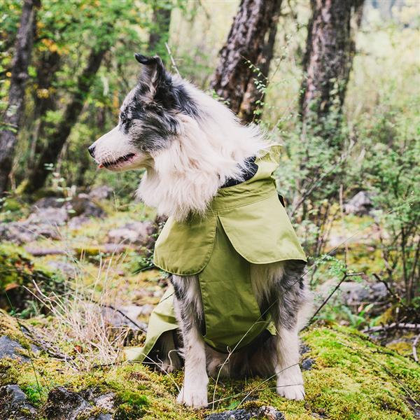 Dog Coats Small Waterproof,Warm Outfit Clothes Dog Jackets Small,Adjustable Drawstring Warm And Cozy Dog Sport Vest-Green size 2XL