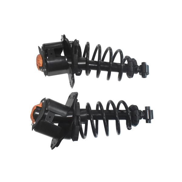 2 PCS COMPLETE STRUT 2008-2009 Ford-TAURUS