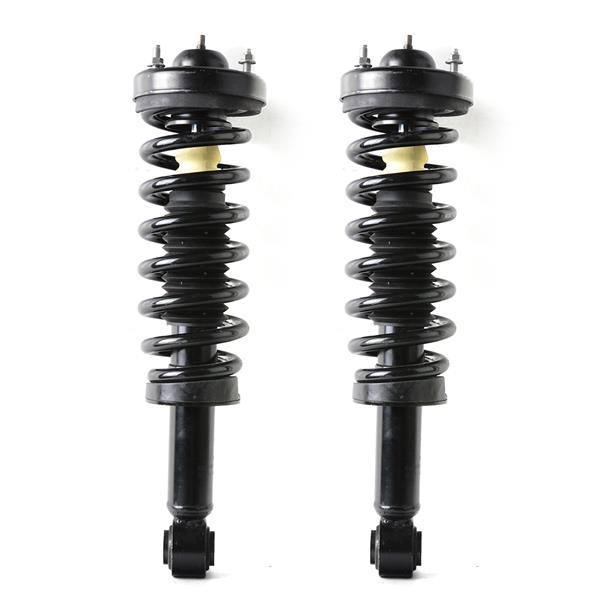 2 PCS Shock Strut Spring Assembly 2009-2013 FORD-F-150