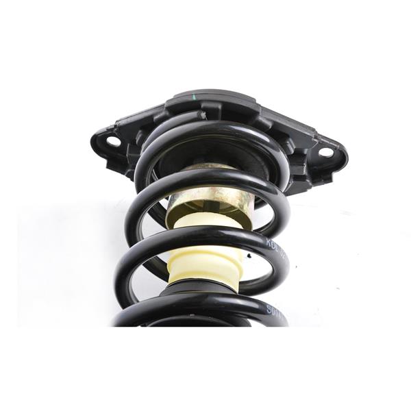 2 PCS Shock Strut Spring Assembly 2000-2006 NISSAN-SENTRA