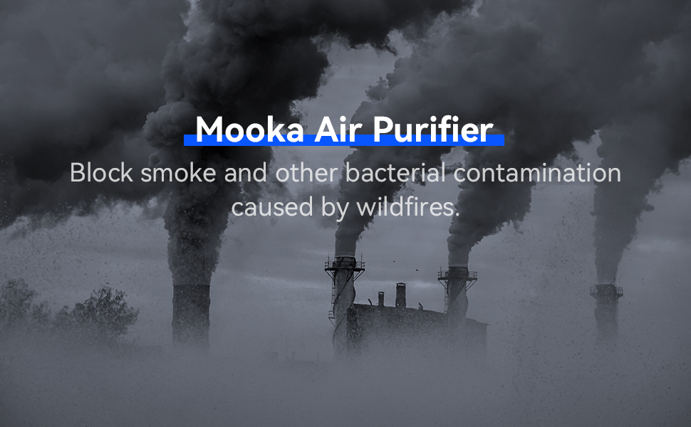 Protect Your Home with Mooka True HEPA Air Purifier