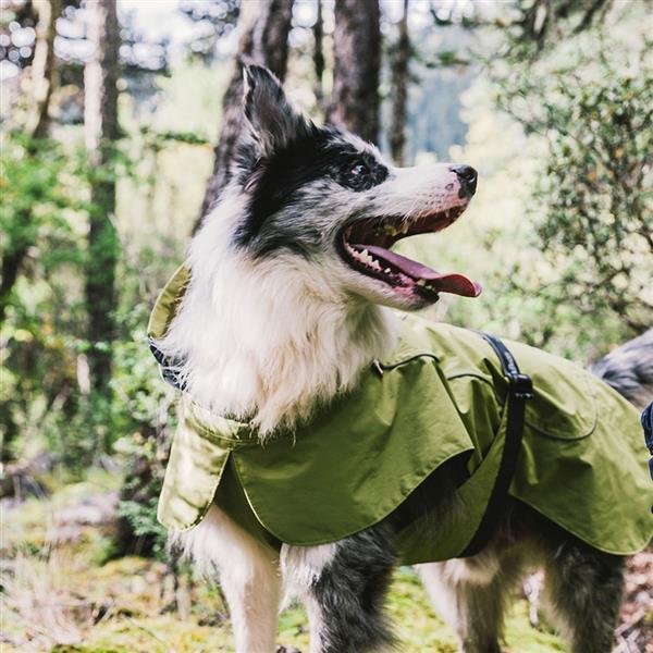 Dog Coats Small Waterproof,Warm Outfit Clothes Dog Jackets Small,Adjustable Drawstring Warm And Cozy Dog Sport Vest-Green size M