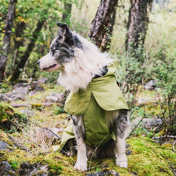Dog Coats Small Waterproof,Warm Outfit Clothes Dog Jackets Small,Adjustable Drawstring Warm And Cozy Dog Sport Vest-Green size M